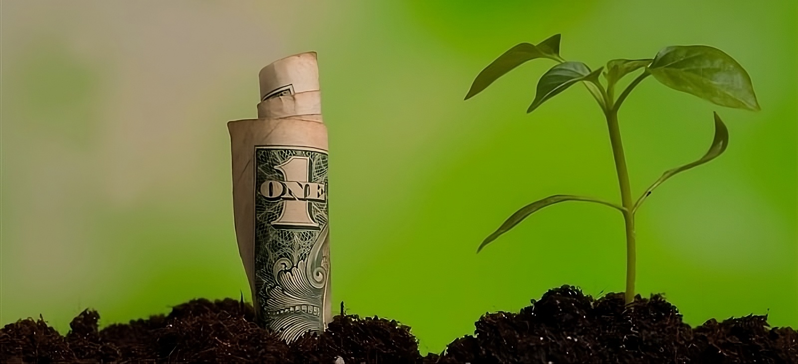 Halal vs ESG Investing: How Similar Are They?